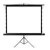 Elite Screens - Yardmaster Sport 110" Outdoor Self Standing Projector Screen - Black