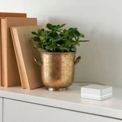 Lutron - Diva Smart Dimmer Switch - White -Comprehension Store a8b3c1f2 f9f1 5150 9407 7a9a811d55de